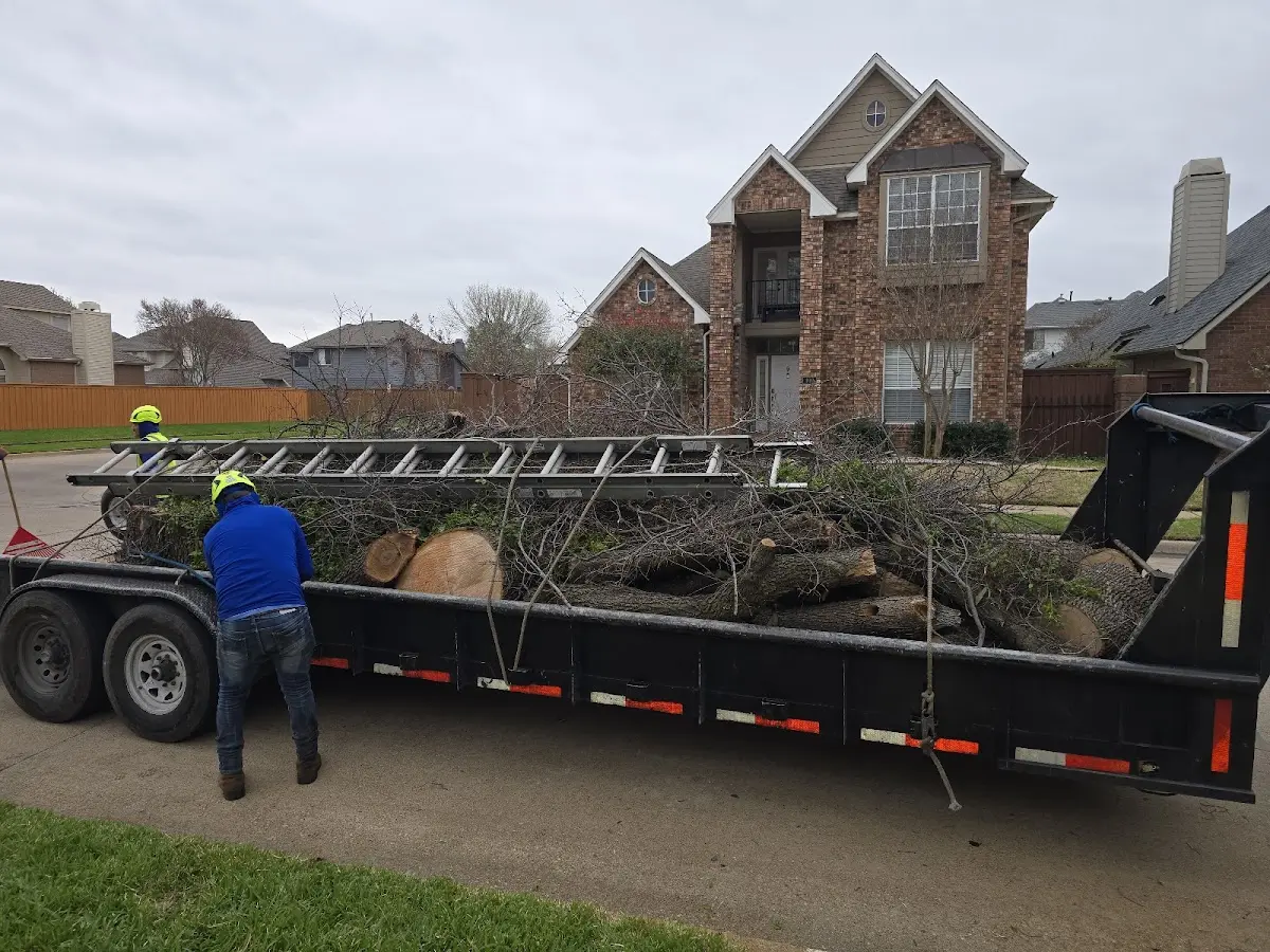 Expert Tree Pest Control with proper safety equipment in Metairie